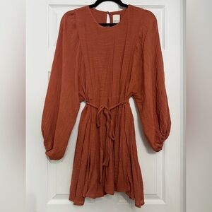 Chic Long Sleeve Rust Dress